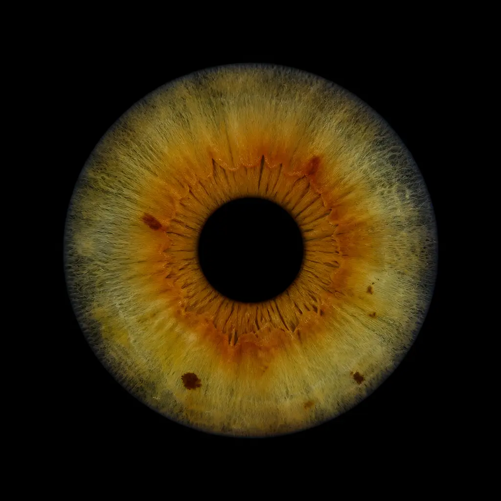 A real EyeJoy render — warm amber flecks and fine gold radials around the pupil